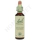 Bach Flower Remedies for Animals - Centaury